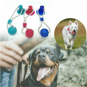 Dog Biting Suction Toy