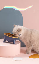 Load image into Gallery viewer, Tilted Cat Bowl
