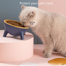 Load image into Gallery viewer, Tilted Cat Bowl
