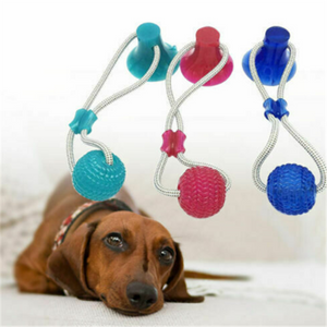 Dog Biting Suction Toy