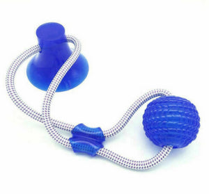 Dog Biting Suction Toy