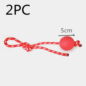 Dog Biting Suction Toy