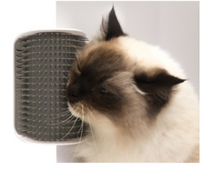 Load image into Gallery viewer, Cat Self-Grooming Brush With Wall Rubbing Device
