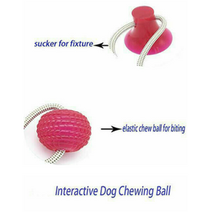 Dog Biting Suction Toy