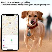 Load image into Gallery viewer, AirTag Dog Collar
